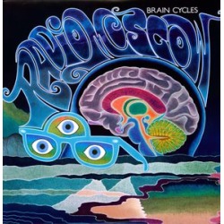 Brain Cycles