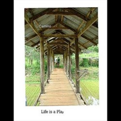 Life Is a Play