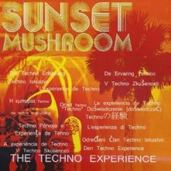 Techno Experience
