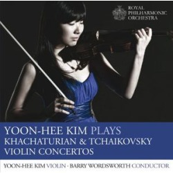 Violin Cons