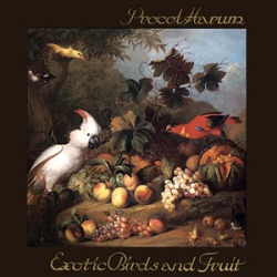 Exotic Birds & Fruit