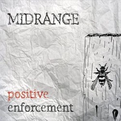 Positive Enforcement