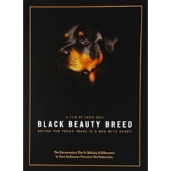 Black Beauty Breed