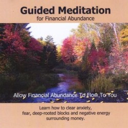 Money Magnet Transformational Meditation