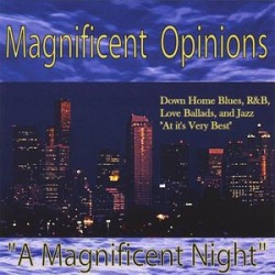 Magnificent Night