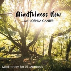 Mindfulness Now
