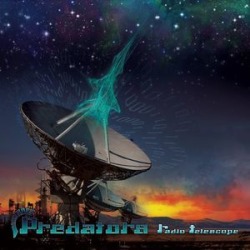 Radio Telescope (IMPORT)