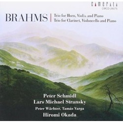 Trio for Horn Violin & Piano