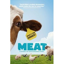 Meat