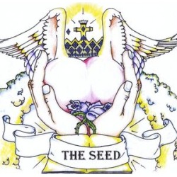 Seed