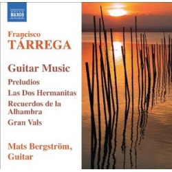 Guitar Music