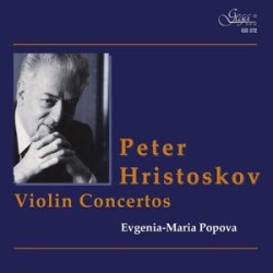 Violin Cons