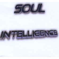 Soul Intelligence