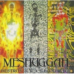 Destroy Erase Improve (IMPORT)