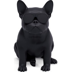 AeroBull XS1 Bluetooth speaker