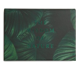 Wisdom of Nature card set