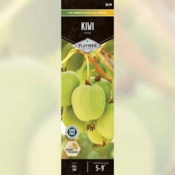 DeGroot Kiwi Issai; 1 Plant