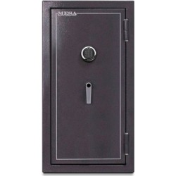 Mesa Safe Burglary/Fire Safe, 6.4 cu. ft., Key Pad