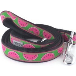Worthy Dog Watermelon Dog Lead, 5/8 in. x 5 ft. found on Bargain Bro Philippines from Tractor Supply for $17.99