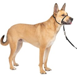 PetSafe Gentle Leader Dog Head Collar