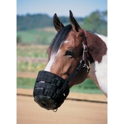 Weaver Leather Grazing Muzzle; Average