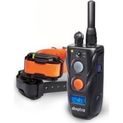 Dogtra 282C Training System
