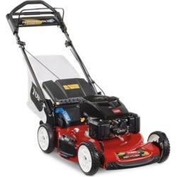 Toro Recycler 22 in. Personal Pace Self Propelled Lawn Mower with Bagger, 20372