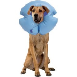 Remedy + Recovery Stay Rite Xtra Strong Inflatable Recovery Dog Collar; Blue; X-Large; 47505-9