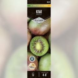 DeGroot Kiwi Prolific; 1 Plant