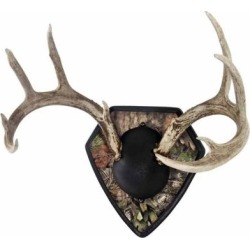 Allen Big Buck Trophy Mount Kit