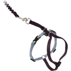 PetSafe Come With Me Kitty Harness & Bungee