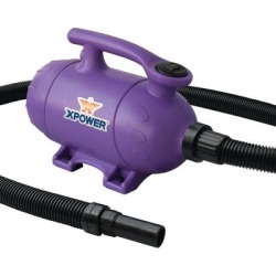 XPOWER B-2 Pro at Home Pet Grooming Force Dryer & Vacuum