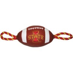 Pets First Co. Iowa State Cyclones Pebble Grain Football Toy