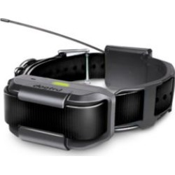 Dogtra PATHFINDER RX, GPS Tracking Trainer