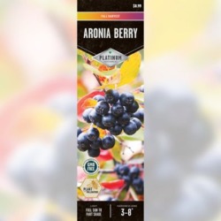 DeGroot Aronia Berry; 1 Plant