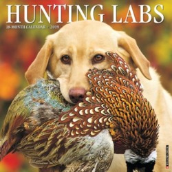 Willow Creek Press 2019 Hunting Labs Wall Calendar