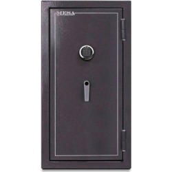 Mesa Safe Burglary/Fire Safe, 6.4 cu. ft., Key Pad
