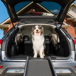 PetSafe UltraLite Bi-fold Pet Ramp