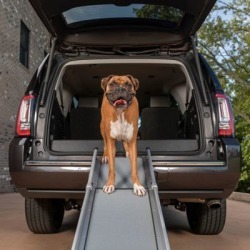 PetSafe Tri-Scope Ramp