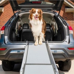 PetSafe Dlx Telescoping Pet Ramp