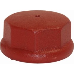 Water Source Well Point Drive Cap; 2 in.