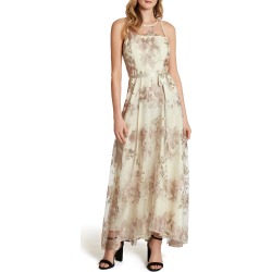 Women's Tahari Embroidered Mesh Gown