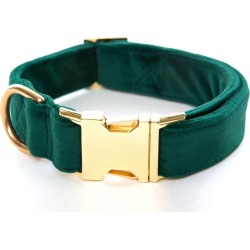 The Foggy Dog Velvet Dog Collar