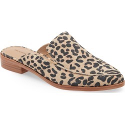 Women's Treasure & Bond Kallie Mule, Size 12 M - Brown
