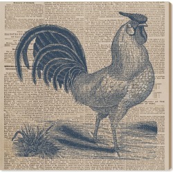 Oliver Gal Rooster Newspaper Canvas Wall Art
