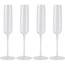 Hudson Wilder Brant Set Of 4 Champagne Flutes