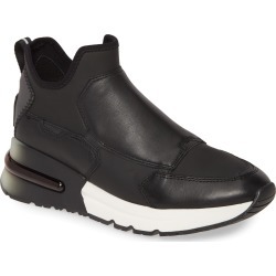Women's Ash Krystal High Top Sneaker