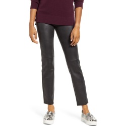Women's Hue Microsuede Leggings