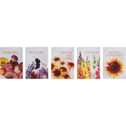 The Floral Society 11-Pack Assorted Flower Seeds