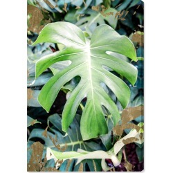Oliver Gal Monstera Jungle Canvas Wall Art